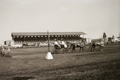 Magyarország, Budapest X., Albertirsai út, a Mezőgazdasági kiállítás lovaspályája., 1941, Fortepan/Album002, Budapest, lovassport, Fortepan #92636