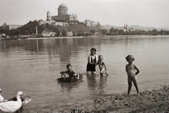 Hungary,Slovakia, Štúrovo, Duna-part, a túlparton Esztergom, a Várhegyen a Bazilika., 1944, Fortepan/Album002, basilica, nude photo, Danube, goose, spreading, Fortepan #92646