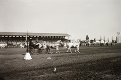 Magyarország, Budapest X., Albertirsai út, a Mezőgazdasági kiállítás lovaspályája., 1941, Fortepan/Album002, Budapest, lovassport, Fortepan #92710