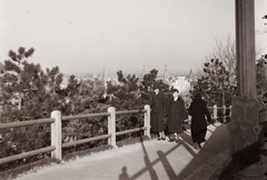 Hungary, Budapest I., kilátás az Erzsébet híd felé., 1941, Fortepan/Album002, railing, walkway, Budapest, pine, Fortepan #92722