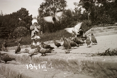 Magyarország, Gellérthegy, Budapest XI., 1941, Fortepan/Album002, kislány, galamb, Budapest, Fortepan #92736