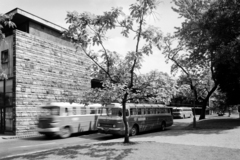 Magyarország, Budapest V., Erzsébet (Engels) téri MÁVAUT autóbusz-pályaudvar., 1966, UVATERV, autóbusz, magyar gyártmány, Ikarus-márka, MÁVAUT-szervezet, Ikarus 55, Ikarus 620/630, buszpályaudvar, Budapest, Nyiri István-terv, Fortepan #9275