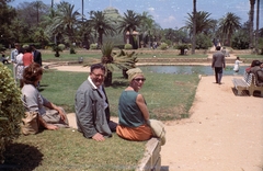 Egypt, Alexandria, Antoniadis kert., 1962, Inkey Tibor, celebrity, colorful, palm tree, looking back, Fortepan #93141