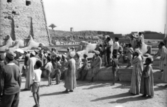 Egyiptom, Luxor, kosfejű szfinxekkel szegélyezett felvonulási út a Karnaki templomhoz. A felvétel az Egyiptomi történet című film forgatásakor készült., 1962, Inkey Tibor, pálmafa, antik kultúra, szfinx, Fortepan #93238