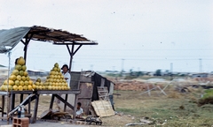 1980, LHM, színes, gyümölcs, Fortepan #93552