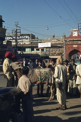 India, Delhi, Chandni Chowk, India egyik legnagyobb piaca, szemben a Fatehpuri Maszdzsid mecset bejárata., 1972, Lőw Miklós, színes, szanszkrit, Fortepan #93660