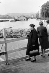 Magyarország, Budapest V., a pesti alsó rakpart a Petőfi térnél a Széchenyi Lánchíd felé nézve., 1965, Misányi Olivér, árvíz, táska, homokzsák, Budapest, Fortepan #93791