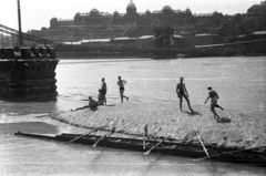 Magyarország, Budapest V., pesti alsó rakpart árvíz idején a Magyar Tudományos Akadémia előtt. Szemben a Széchenyi Lánchíd és a Királyi Palota (később Budavári Palota)., 1941, Fortepan/Album004, híd, napozás, hídfő, evezés, Budapest, zátony, függőhíd, William Tierney Clark-terv, Fortepan #93853