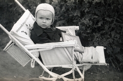 1943, Pálfi András, baby carriage, Fortepan #93998