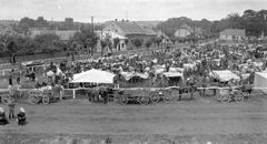 1928, Fortepan, ló, piac, szekér, állatvásár, Fortepan #9403