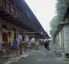 1982, Schuller Judit, színes, cigányság, Fortepan #94117