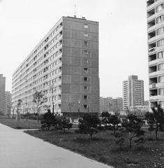 Magyarország, Budapest XI., Etele (Szakasits Árpád) út, jobbra a két épület között az egyik Fejér Lipót (Török Ignác) utcai toronyház., 1971, Építésügyi Dokumentációs és Információs Központ, Budapest, Fortepan #94250