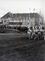 Hungary, Budapest X., Albertirsai út, Mezőgazdasági kiállítás lovaspályája., 1939, Vaskapu utca, horse, coach, Budapest, Fortepan #94283