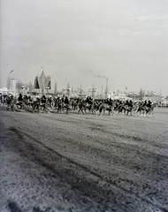 Hungary, Budapest X., Albertirsai út, Mezőgazdasági kiállítás lovaspályája. A háttérben jobbra a sörgyár épülete látszik., 1939, Vaskapu utca, horse, Budapest, Fortepan #94284