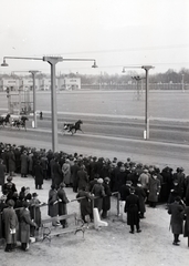 Hungary, Budapest VIII., Kerepesi úti Ügetőpálya. Előtérben az I. és II. hely közötti átjáró., 1939, Vaskapu utca, horse, horse race, Budapest, Fortepan #94293