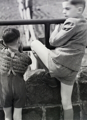 Hungary, Zoo, Budapest XIV., 1943, Vaskapu utca, Budapest, back, suspenders, Fortepan #94323