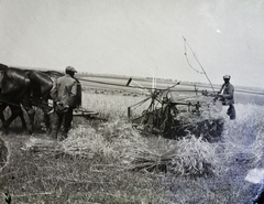 1939, Vaskapu utca, horse, agriculture, harvest, swather, Fortepan #94345