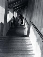 Magyarország, budai Vár, Budapest I., fedett lépcső a Lovas út és a Tóth Árpád sétány (Gróf Bethlen István bástyasétány) között., 1940, Vaskapu utca, lépcső, Budapest, Fortepan #94424