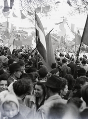 Magyarország, Budapest XIV., Hősök tere., 1948, Vaskapu utca, felvonulás, május 1, Budapest, tömeg, zászló, Fortepan #94453