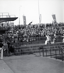 Magyarország, Margitsziget, Budapest, Hajós Alfréd Nemzeti Sportuszoda, toronyugró medence., 1940, Vaskapu utca, zászló, horogkereszt, ugrótorony, műugrás, Fortepan #94458