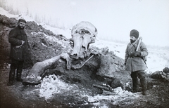 Oroszország, Jakutföld, a Berezovka folyó völgye, mamutlelet. Balra a lelet felfedezője, Eugene W. Pfitzenmayer régész., 1901, Magyar Földrajzi Múzeum / Diagyűjtemény, csontváz, Mammut, Fortepan #95087