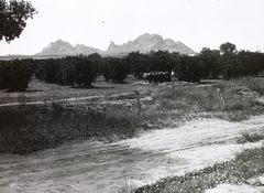 USA, Phoenix, 1910, Magyar Földrajzi Múzeum / Diagyűjtemény, landscape, horse, Fortepan #95088