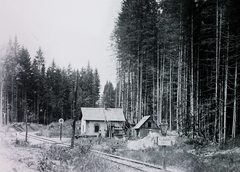 Szlovákia, Fenyvesi fogasvasút. A Zólyombrézó és Tiszolc közötti vasútvonal Erdőköz és Gömörvég közötti szakasza., 1914, Magyar Földrajzi Múzeum / Diagyűjtemény, fenyőerdő, vasútállomás, Fortepan #95159