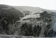 Slovakia,Nízke Tatry, Király-hegy, Martalúzka sziklacsoport., 1930, Schermann Ákos, Schermann Szilárd, Czechoslovakia, Fortepan #95413