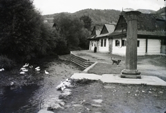 Slovakia, Dobšiná, 1930, Schermann Ákos, Schermann Szilárd, Czechoslovakia, village, dog, goose, Fortepan #95414