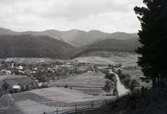 Slovakia, Medzibrod, 1930, Schermann Ákos, Schermann Szilárd, Czechoslovakia, Fortepan #95415