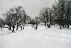 Hungary, Galyatető, Mátraszentimre, 1931, Schermann Ákos, Schermann Szilárd, winter, snow, skiing, Fortepan #95423