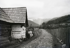 Slovakia,Nízke Tatry, Bystrá, a Bisztra-völgy felé vezető út a község határában, háttérben a Chopok., 1931, Schermann Ákos, Schermann Szilárd, Czechoslovakia, Fortepan #95440