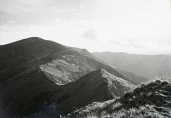 Slovakia,Nízke Tatry, kilátás a Veľký Gápeľ csúcs felé a Štefánik menedékház felől. , 1931, Schermann Ákos, Schermann Szilárd, Czechoslovakia, Tatra Mountains, Fortepan #95442