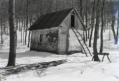 Magyarország, Mátra, Nyikom-hegy., 1932, Schermann Ákos, Schermann Szilárd, Fortepan #95457