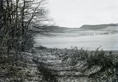 Magyarország, Törökbálint és Biatorbágy határa, jobbra a törökbálinti Hosszúréti tanya, mögötte a biatorbágyi Kő-hegy (Kőorr)., 1932, Schermann Ákos, Schermann Szilárd, Fortepan #95465