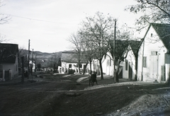 Magyarország, Törökbálint, Munkácsy Mihály (Fő) utca, jobbra a 108. számú ház., 1932, Schermann Ákos, Schermann Szilárd, Fortepan #95466