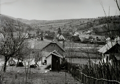 Magyarország, Szendehely, Katalinpuszta, keresztben a 2-es főút, háttérben az Ady Endre utca torkolata., 1932, Schermann Ákos, Schermann Szilárd, Fortepan #95471