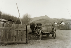 Magyarország, Salgótarján, Inászó (mára megszűnt településrész), háttérben a Pécskő-hegy., 1933, Schermann Ákos, Schermann Szilárd, falu, szekér, hegy, ló, Fortepan #95490