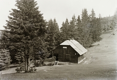 Szlovákia, Choč-hegység, Hviezdoslav menedékház., 1933, Schermann Ákos, Schermann Szilárd, Csehszlovákia, menedékház, Cseh Turisták Klubja, fenyőfa, Fortepan #95495