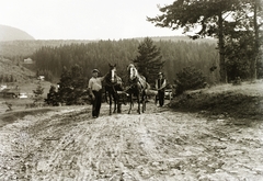 Szlovákia, Szlovák Paradicsom Nemzeti Park, Csingó, 1934, Schermann Ákos, Schermann Szilárd, Csehszlovákia, ló, Fortepan #95525