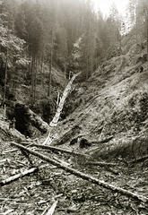 Szlovákia, Szlovák Paradicsom Nemzeti Park, Nagy Sólyom-szurdok., 1934, Schermann Ákos, Schermann Szilárd, Csehszlovákia, Fortepan #95533