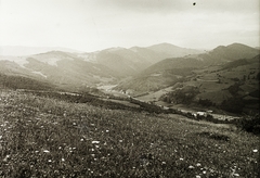 Szlovákia, Dobsina, a Sajó völgye a városközponttól nyugatra, jobbra Vyšný Hámor., 1934, Schermann Ákos, Schermann Szilárd, Csehszlovákia, mező, látkép, domboldal, Fortepan #95538