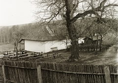 Magyarország, Kőszeg, Keresztkúti turistaház az úgynevezett Stájerházak-nál., 1940, Schermann Ákos, Schermann Szilárd, turistaház, Fortepan #95554