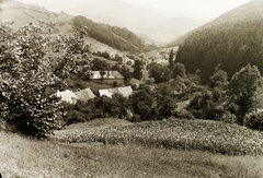 Slovakia, Dobšiná, Lányi huta lakóházai, látkép a város felé., 1944, Schermann Ákos, Schermann Szilárd, Czechoslovakia, picture, Fortepan #95558