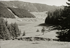 Szlovákia, Imrikfalva, a község látképe a Gölnic folyó völgyében., 1945, Schermann Ákos, Schermann Szilárd, Csehszlovákia, tájkép, Fortepan #95559