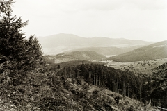 Slovakia, Hégény vagy Gálmusz-hegység (Hnilecké vrchy), háttérben a Sľubica hegy., 1937, Schermann Ákos, Schermann Szilárd, woods, landscape, Fortepan #95599