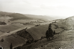 Slovakia, Hégény vagy Gálmusz-hegység (Hnilecké vrchy), a völgyben Vereshegy., 1937, Schermann Ákos, Schermann Szilárd, Czechoslovakia, Fortepan #95600