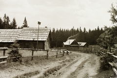 Szlovákia, az Iglófüred és Hollópatak közötti út a Szepegő (Grajnár, Greiner) hegy mellett., 1938, Schermann Ákos, Schermann Szilárd, Csehszlovákia, út, Fortepan #95606