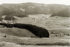 Szlovákia, Szlovák Paradicsom Nemzeti Park, Imrikfalva, a község látképe a Gölnic folyó völgyében, háttérben a Gacsó szikla (Gačovská skala)., 1938, Schermann Ákos, Schermann Szilárd, Csehszlovákia, látkép, Fortepan #95611