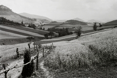 Szlovákia, Felsőhéve, a felvétel a község határában készült, balra az Okrúhle szikla., 1939, Schermann Ákos, Schermann Szilárd, tájkép, Első Szlovák Köztársaság, Fortepan #95636